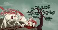 Okami Foto: Games4U